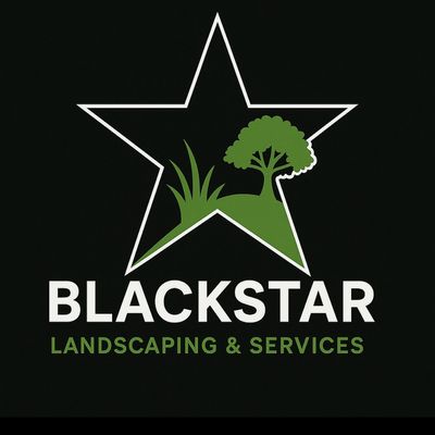 Avatar for BlackStar Landscaping & Services