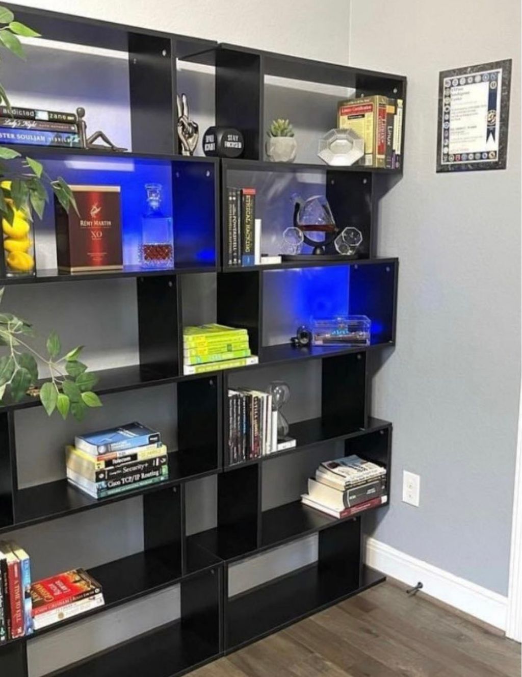Projects and media