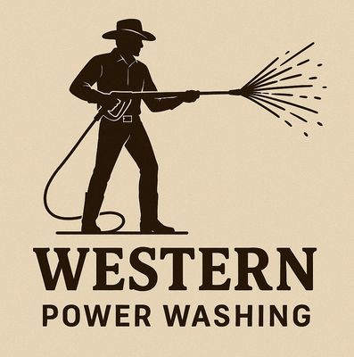 Avatar for Western services