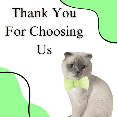 Avatar for Crystal Cleaning