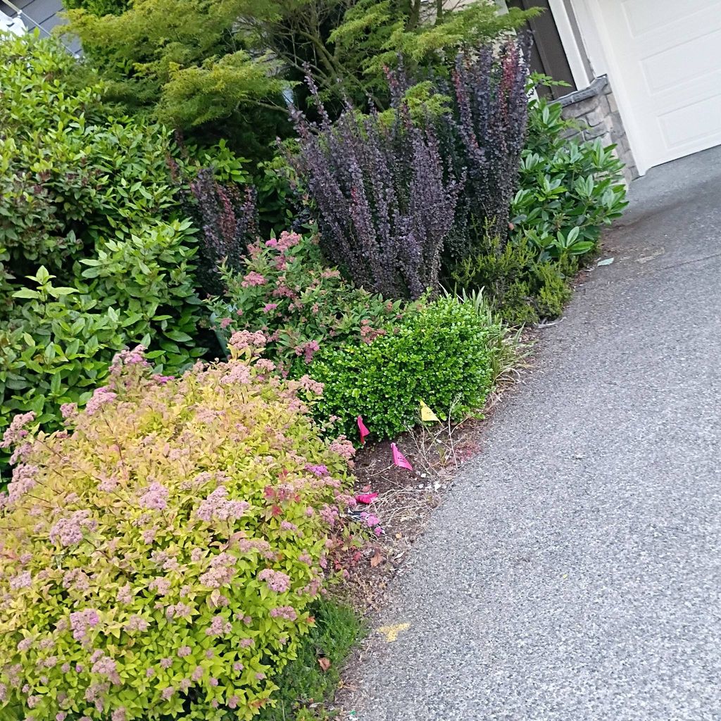 Silva Brothers Landscaping