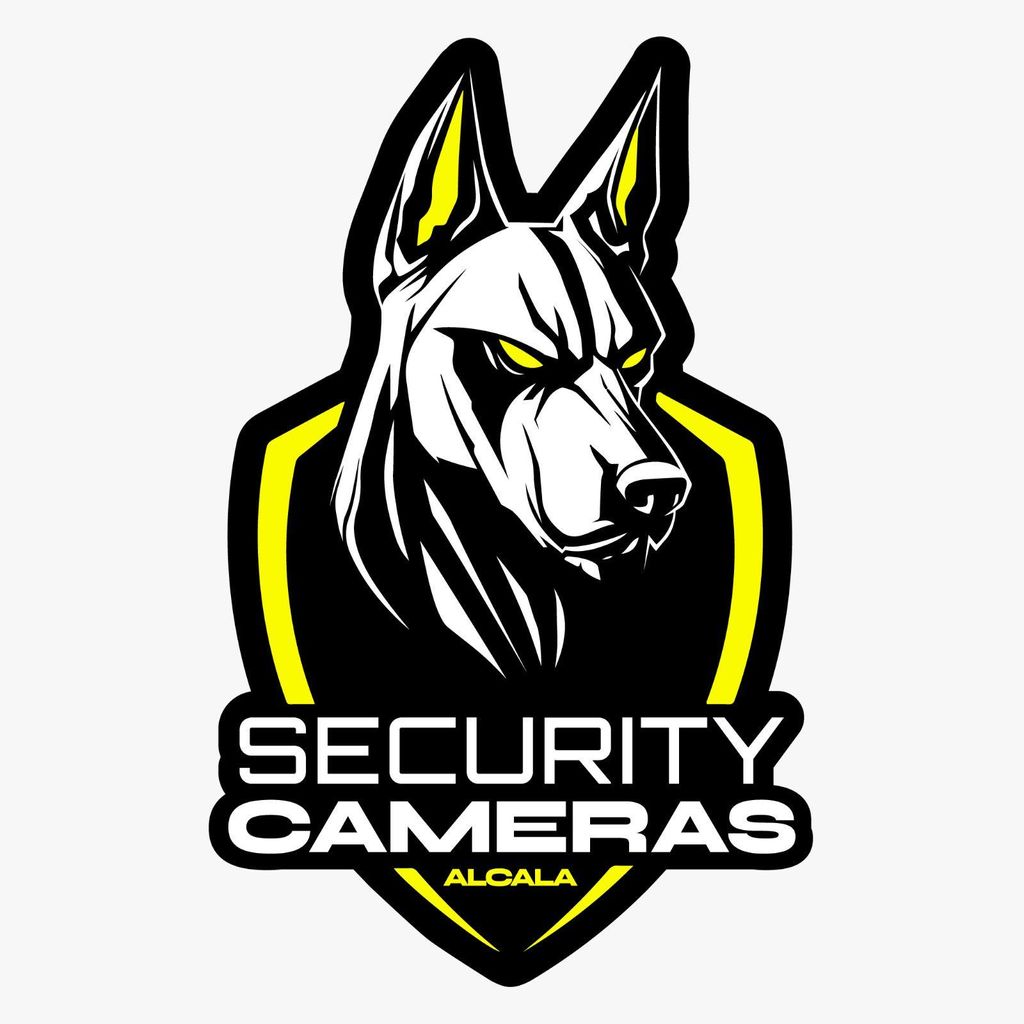 Security Cameras Alcala LLC