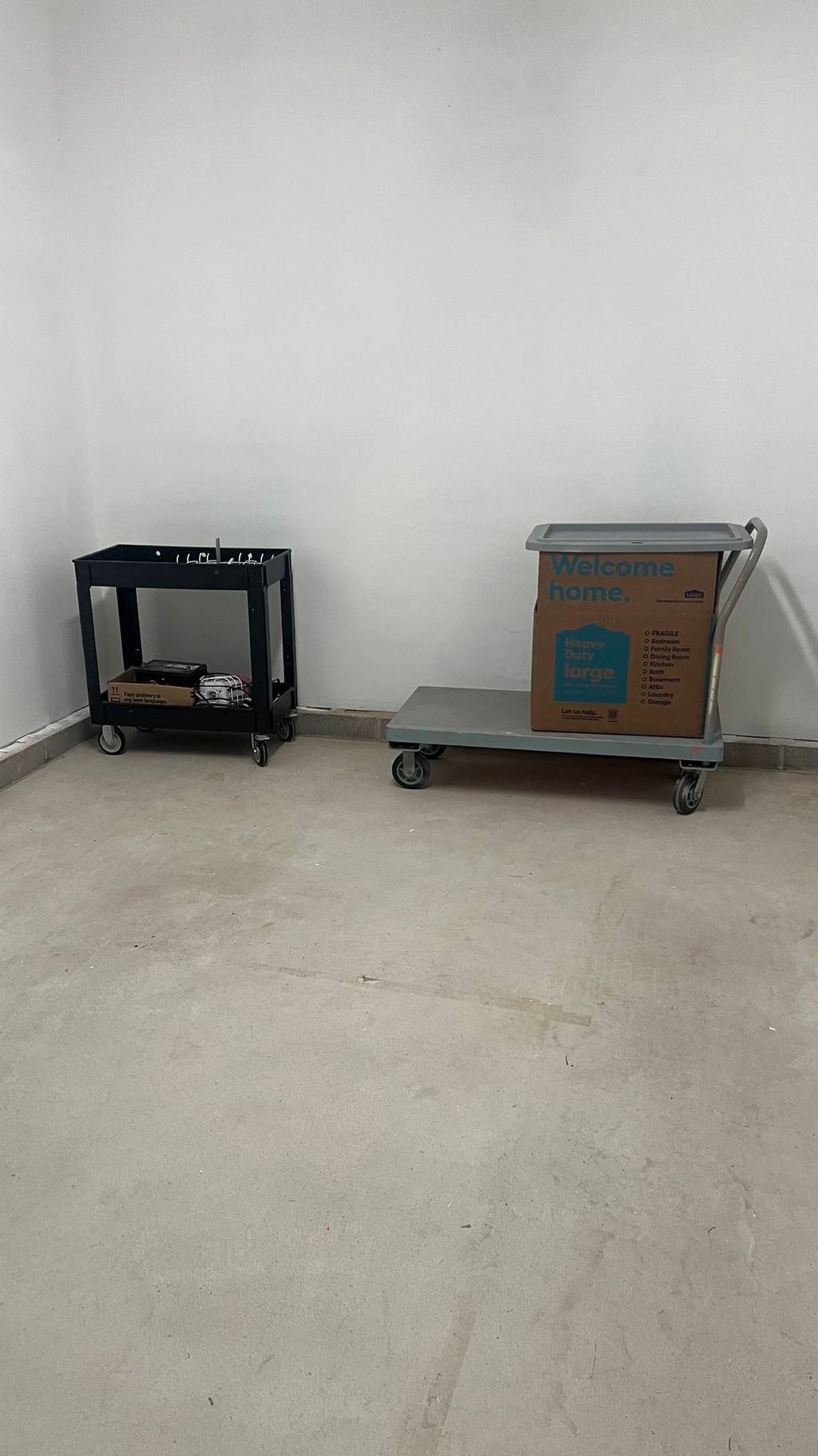 Projects and media