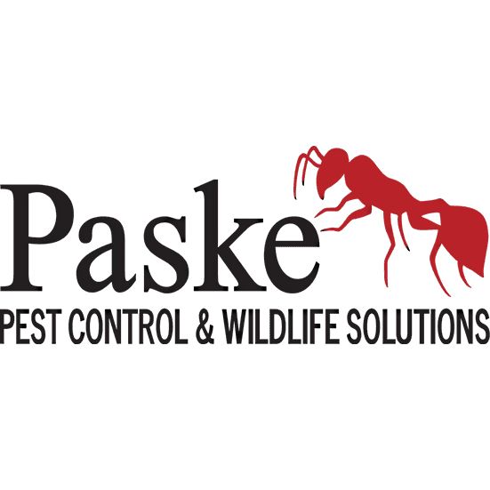 Paske Pest Control & Wildlife Solutions