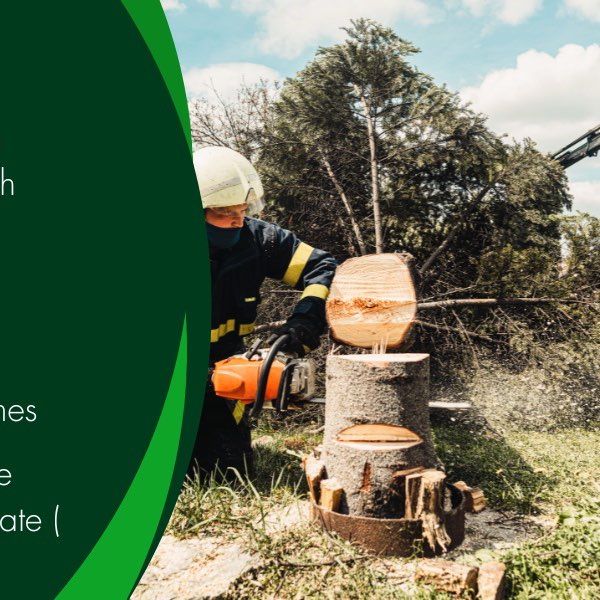 Tree Surgeons