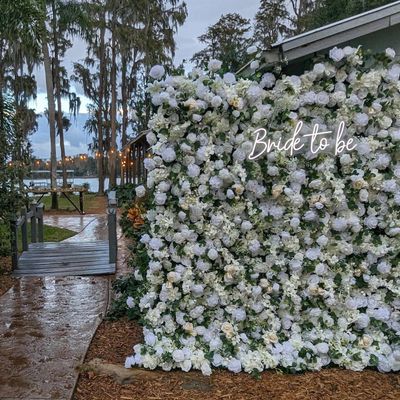 Avatar for Flower Walls (BellaBloom)