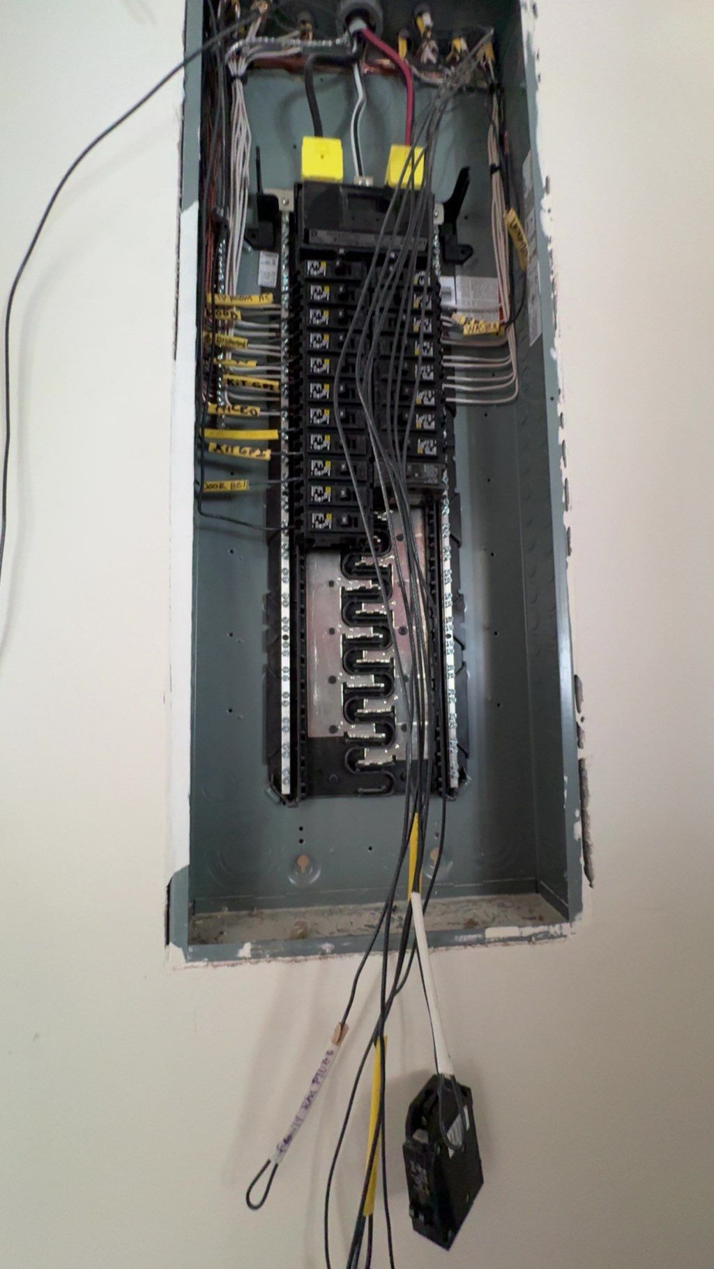 Projects and media