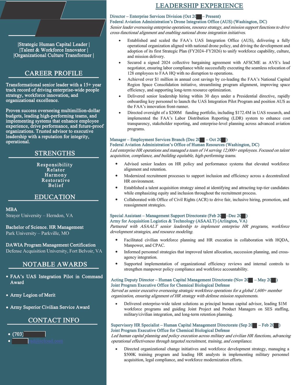 Professional 1-Pager Resume