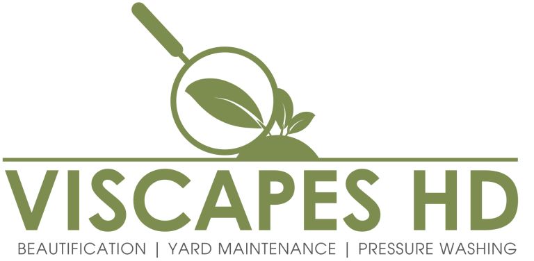 Viscapes HD