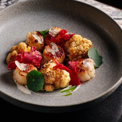 Avatar for Mamik chef