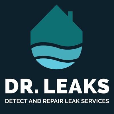 Avatar for Dr. Leaks
