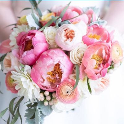 Avatar for Hannah Rae Weddings