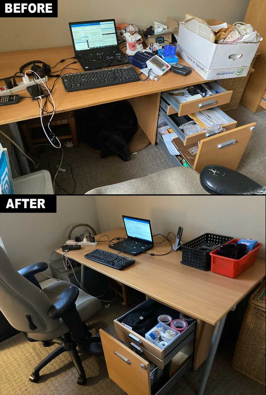 Projects and media