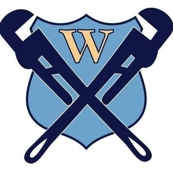 Mr. Wilson's Plumbing and Drain Solutions