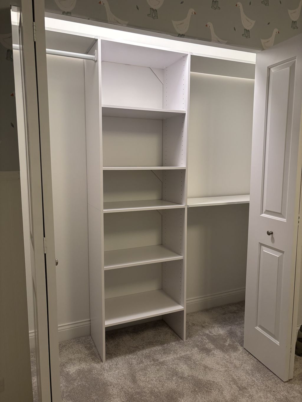 Projects and media