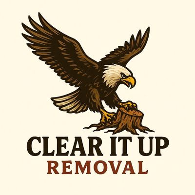 Avatar for Clear it Up Removal