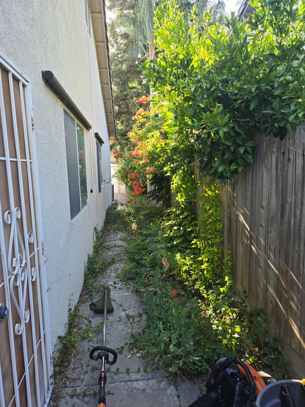 BEFORE