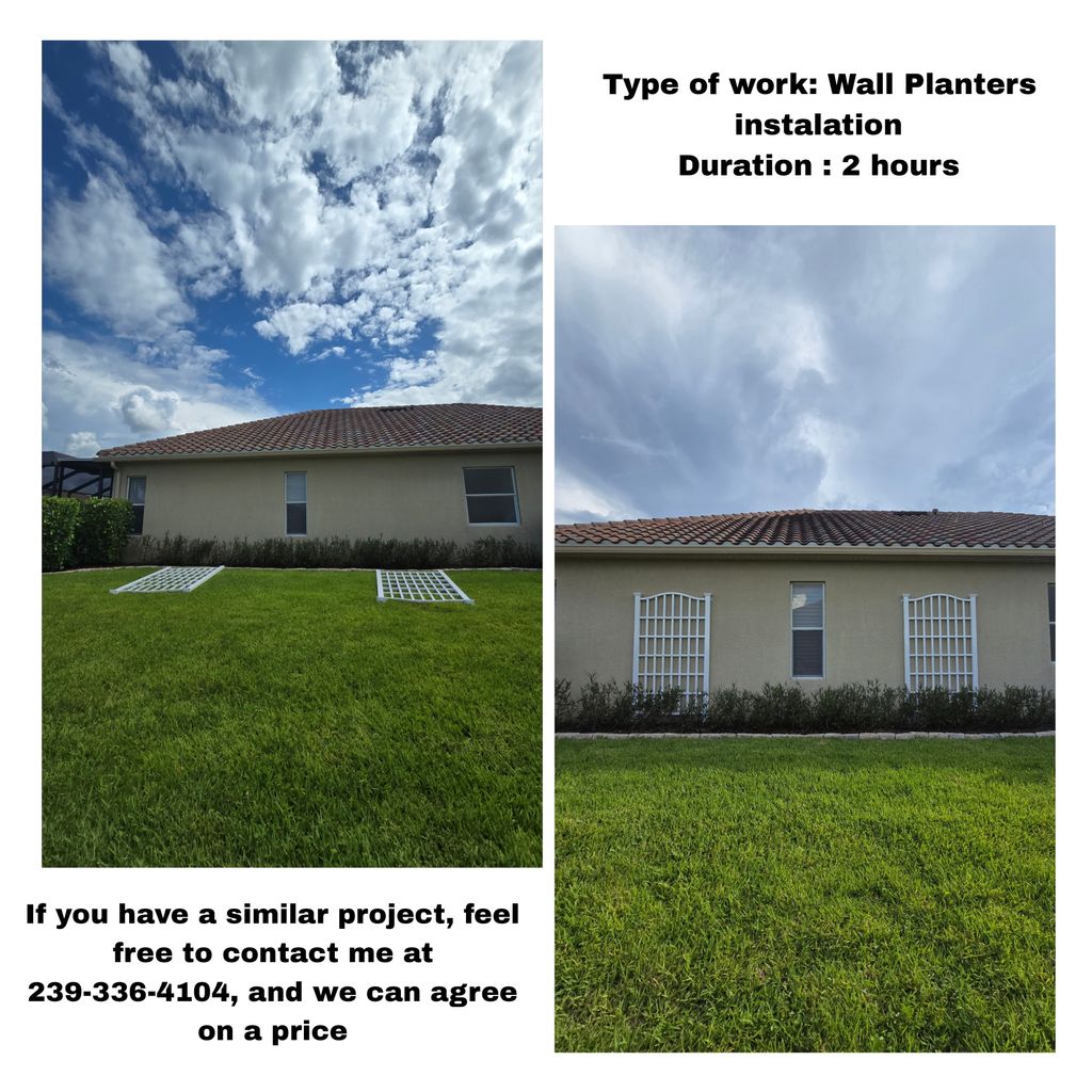 Projects and media