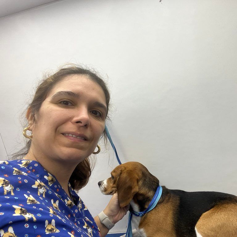 Dog walking and pet grooming