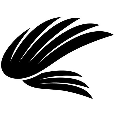 Avatar for Dr. Garrett Tubman - FlyPhysio