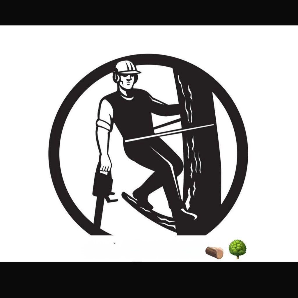pro avatar