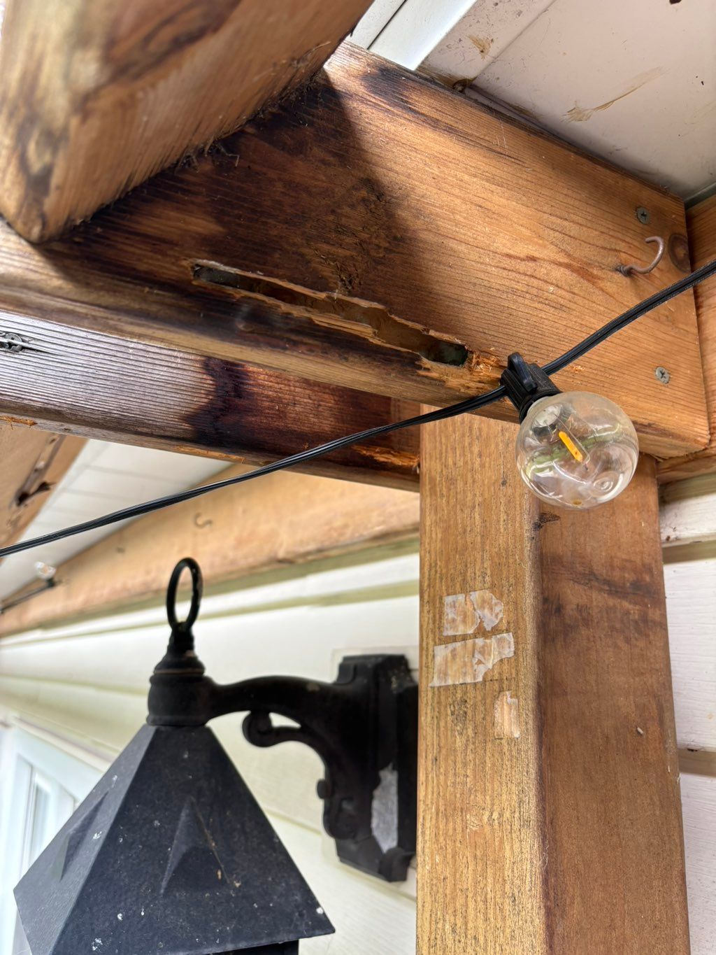 Carpenter bee damage on pergola