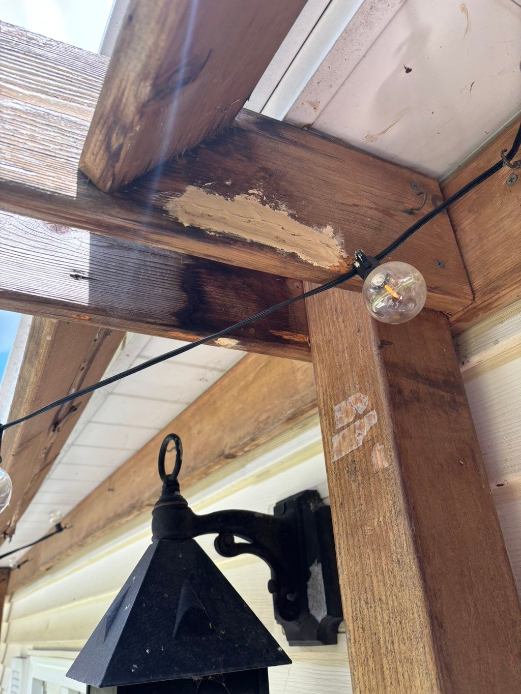 Carpenter bee damage sealed after treatment.