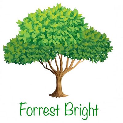 Avatar for Forest-bright cleaning