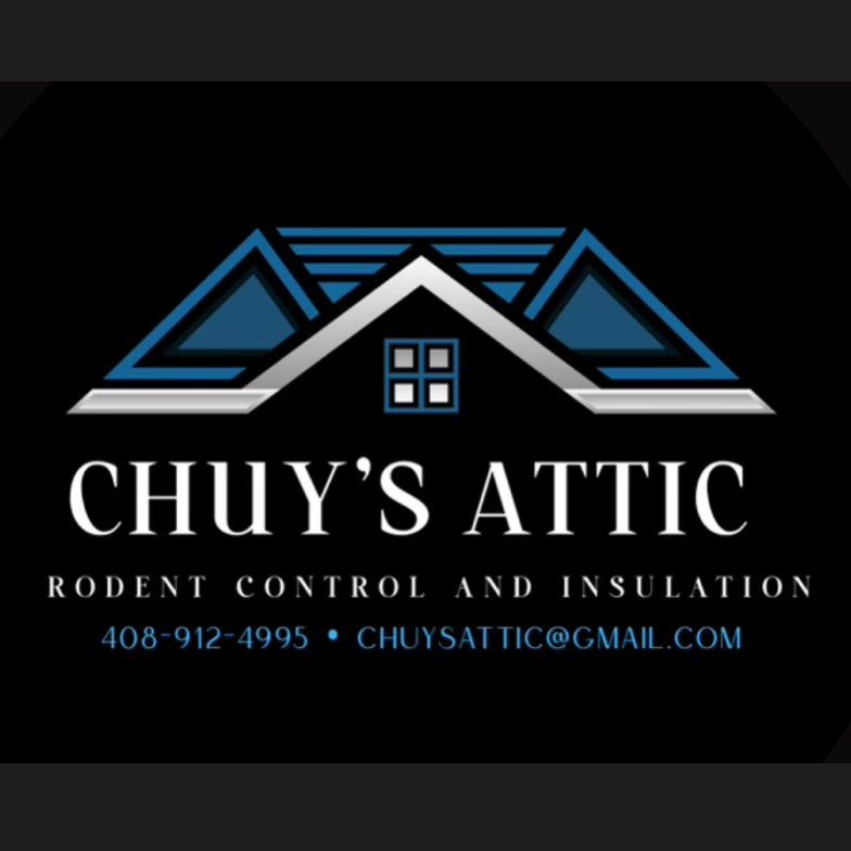 Chuy’s attic