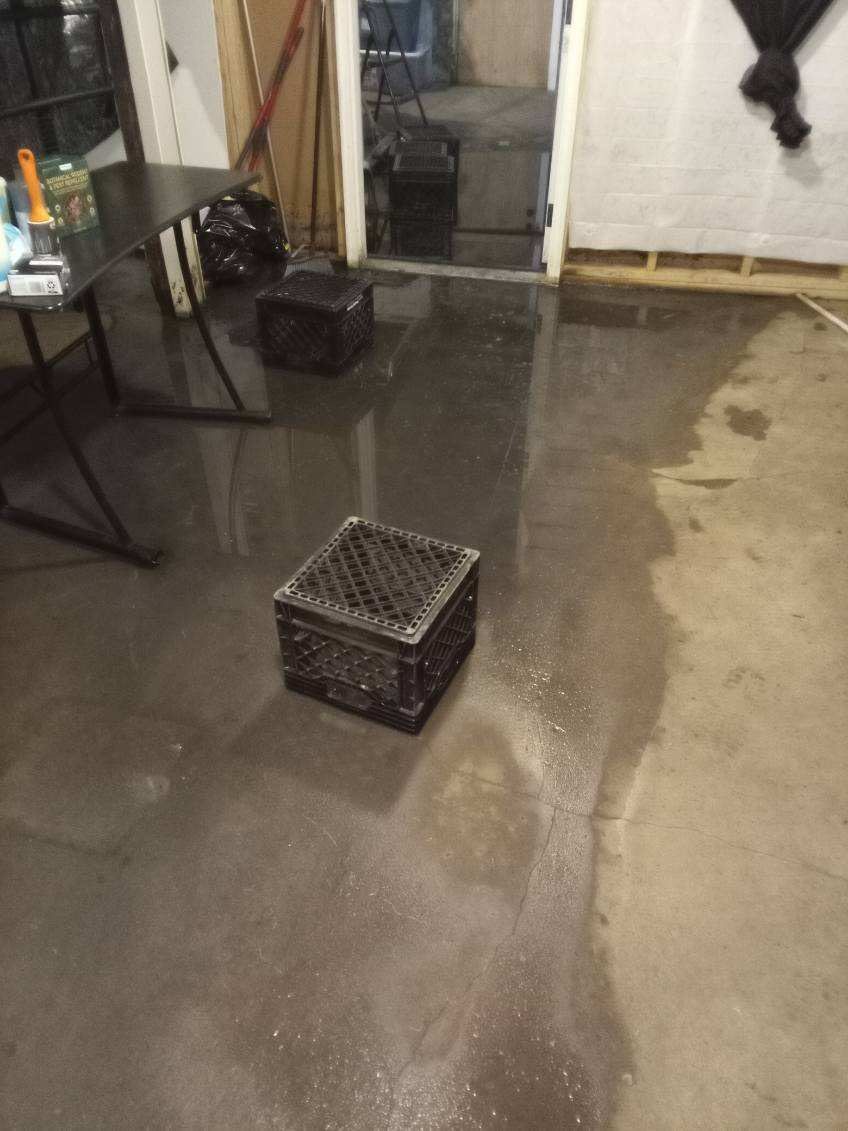 Water damage cleanup