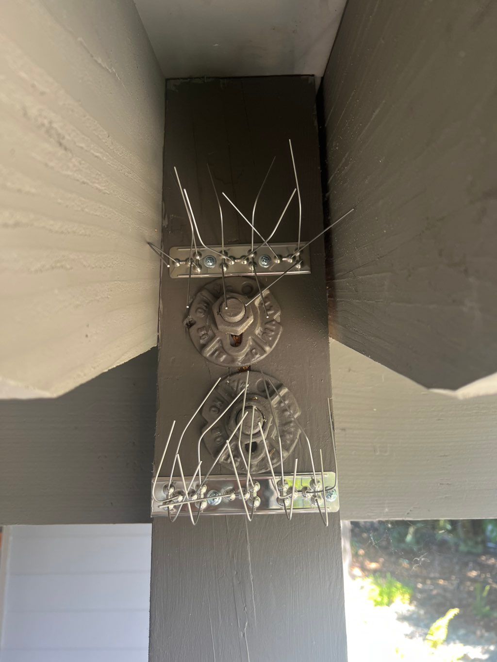Bird spike installation 