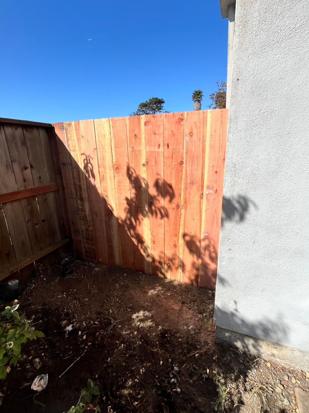 Fence 