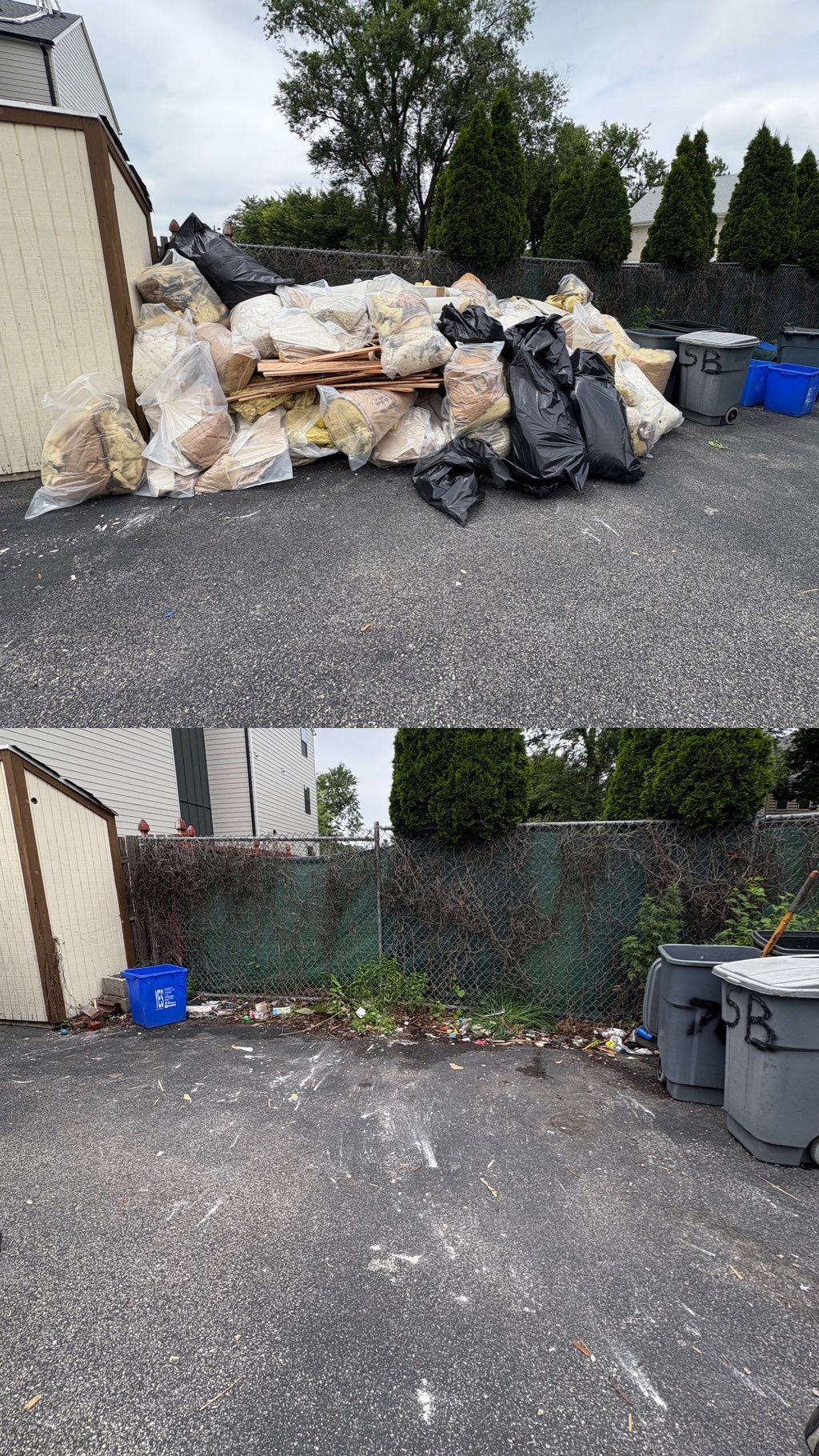 Projects and media