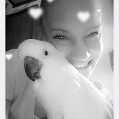 Avatar for Doggone Gorgeous Mobile Pet Spa LLC