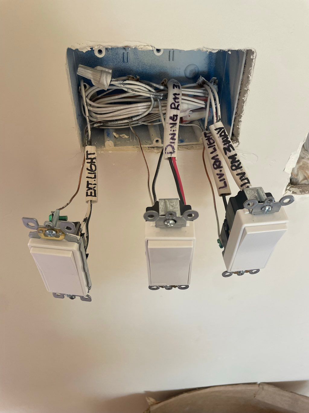 Projects and media