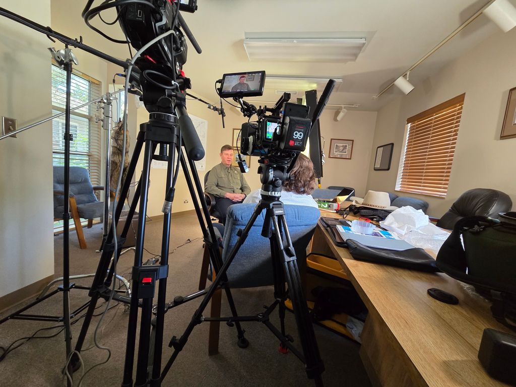 Projects and media