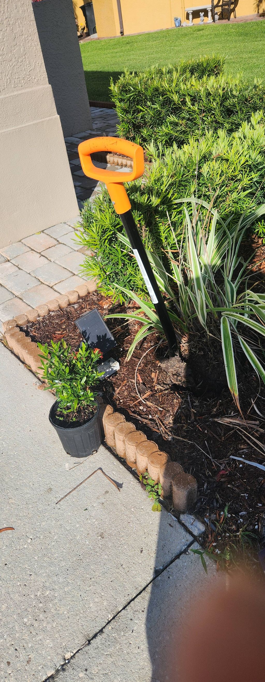Plant Removal and replacement 