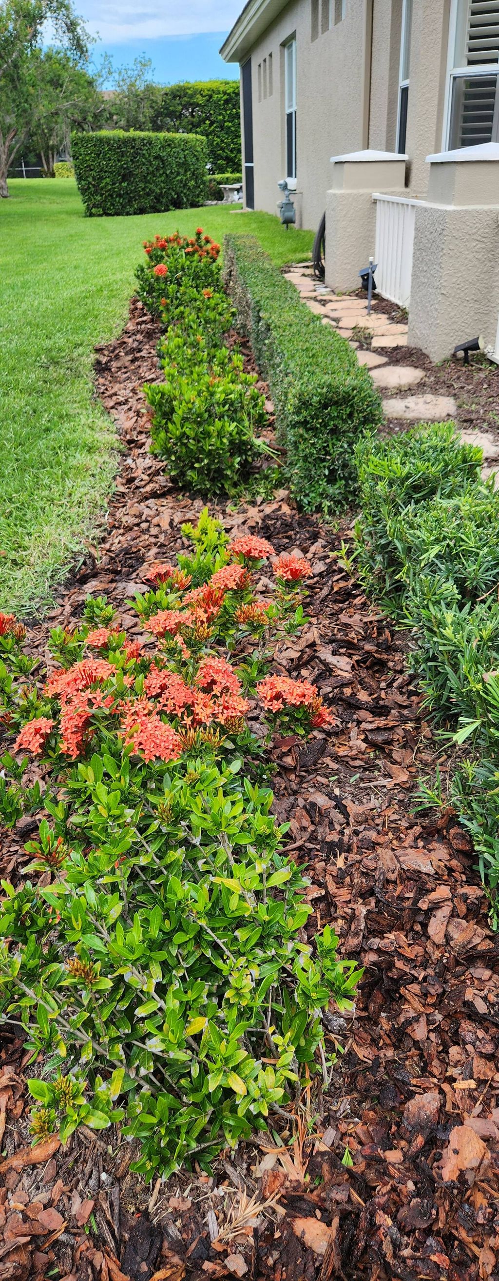 Mulch installation 