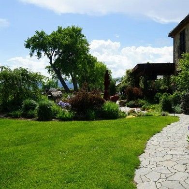 Avatar for LOCO Lawn & Landscaping