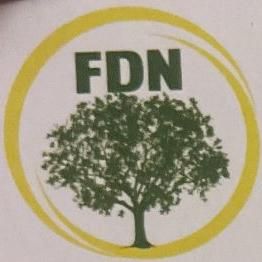FDN professional tree service and landscaping