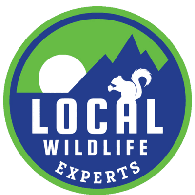 Avatar for Local Pest Experts