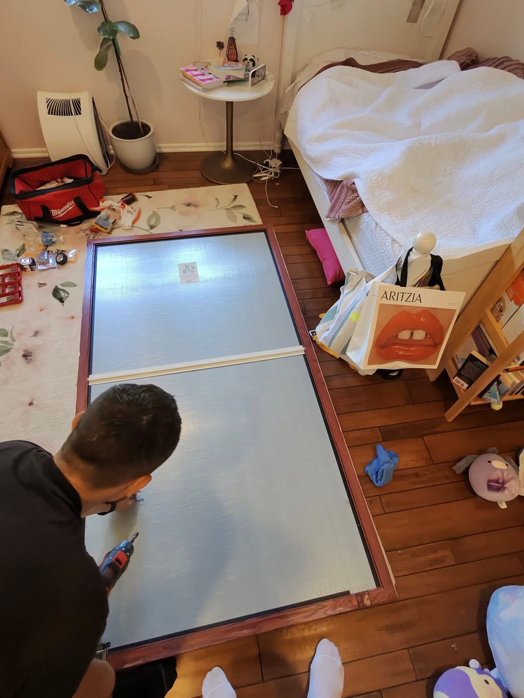 Projects and media