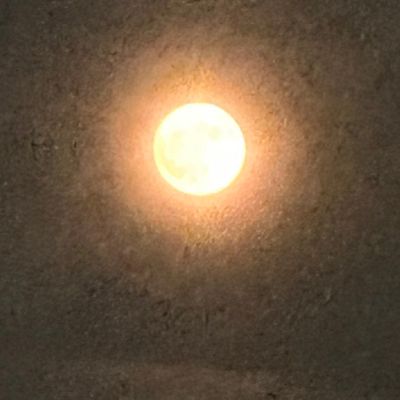 Avatar for Disrupting the industry transport