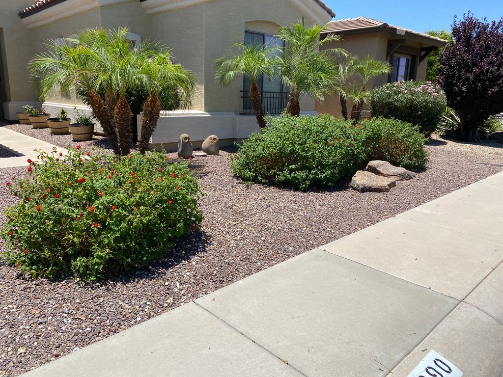 Shrub pruning and landscape maintenance.