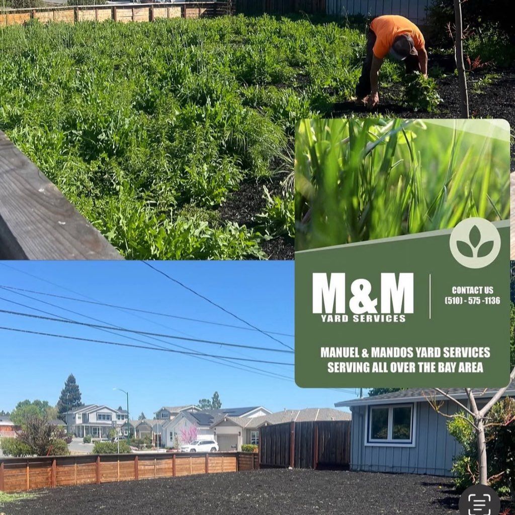 M&M yard services