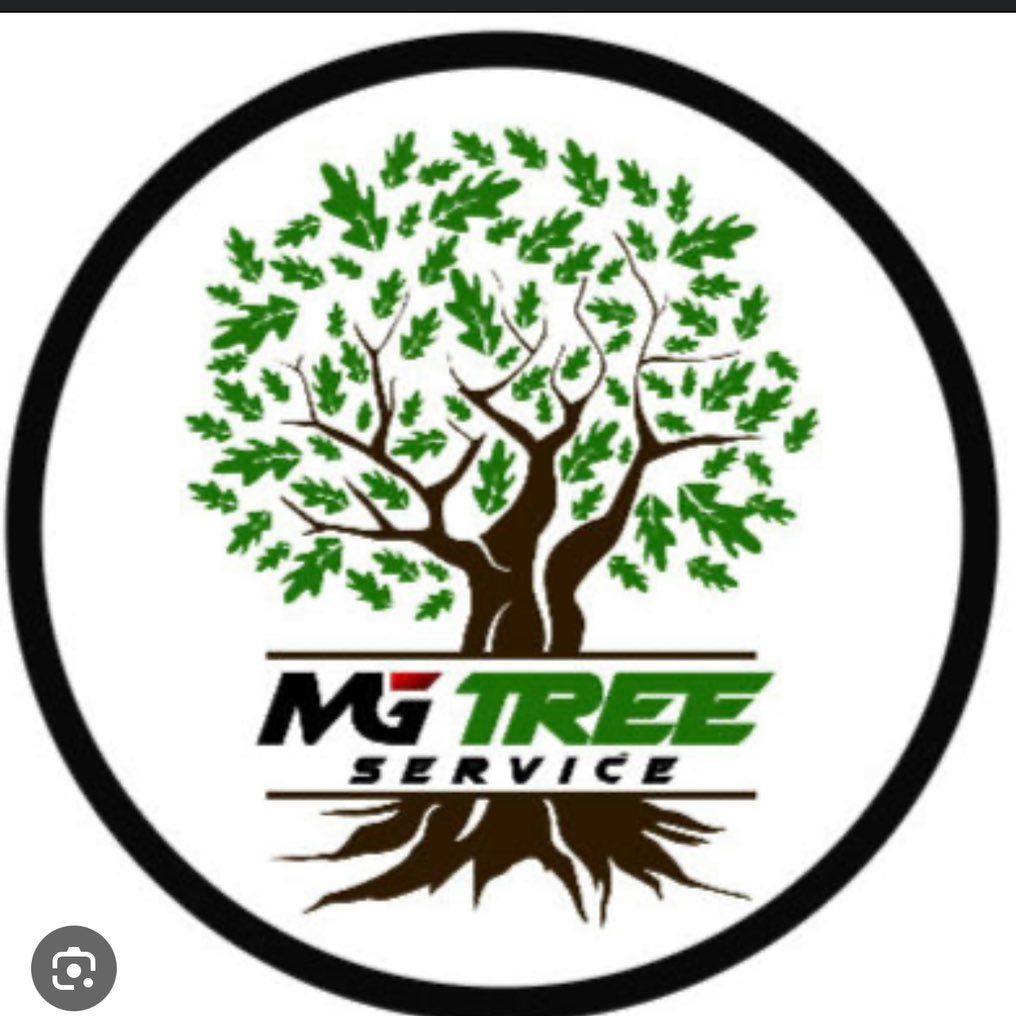 Marcos Gomes company