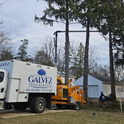 Avatar for Galvez Tree Service