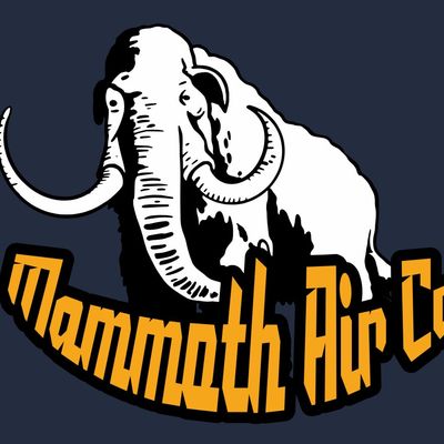 Avatar for Mammoth Air Company