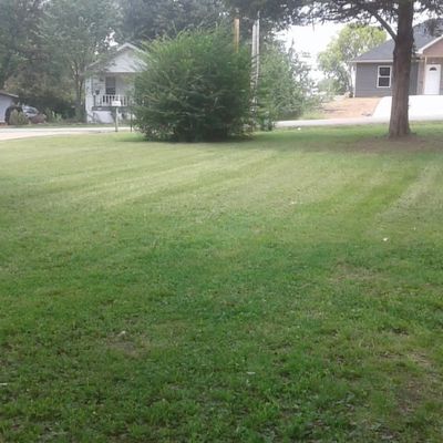 Avatar for Wallace affordable Lawncare