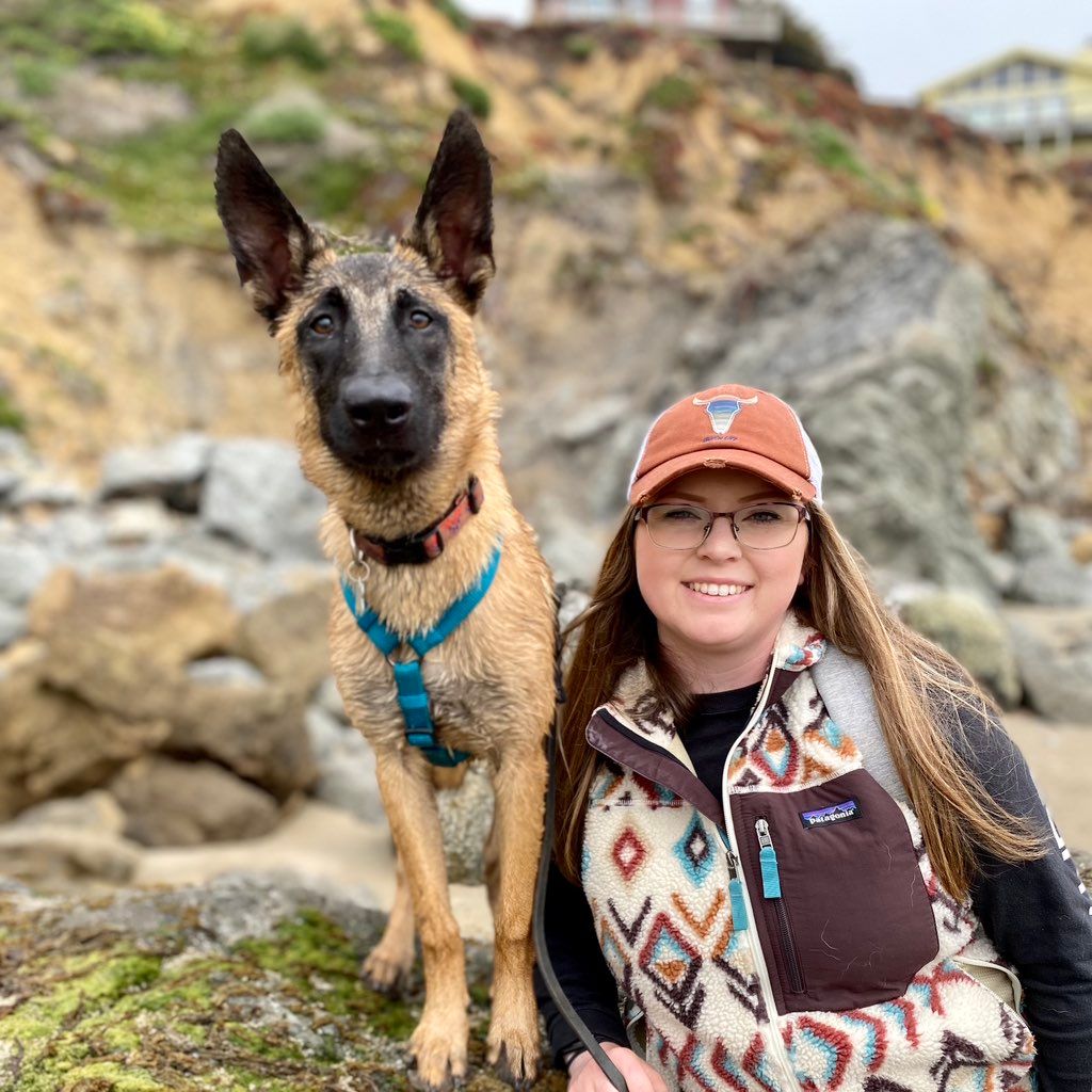 Canine Concierge Training, LLC